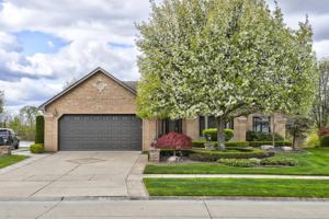 featured image of 48311 American Elm Dr