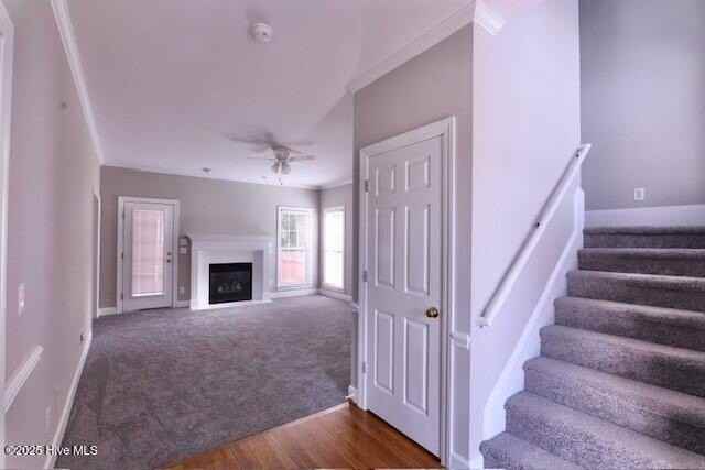 3731 Langston Blvd - Photo 3 of 31