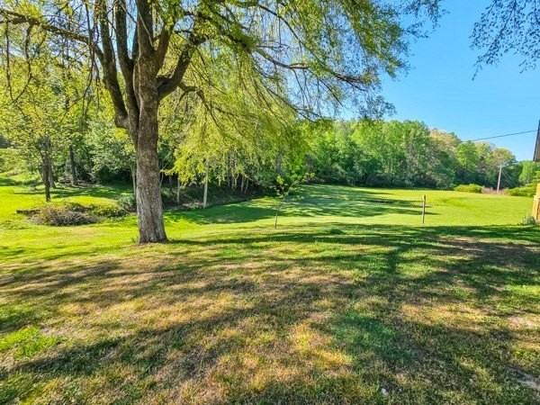 147 Weaver Creek Rd - Photo 4 of 37