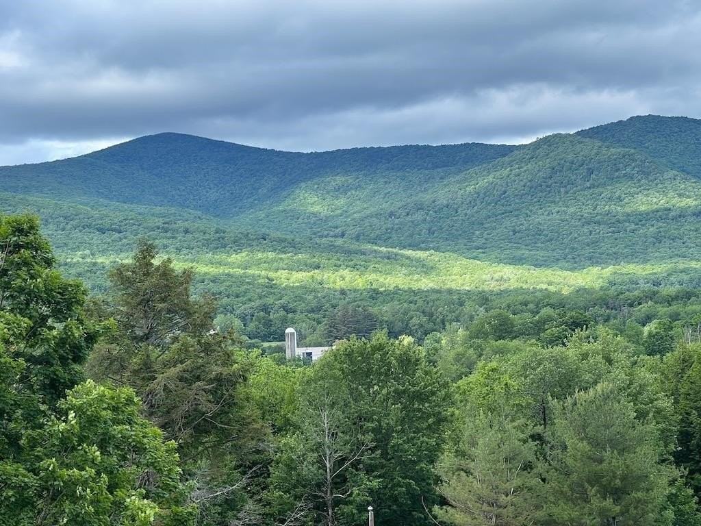 3791 Dorset West Rd - Photo 3 of 15