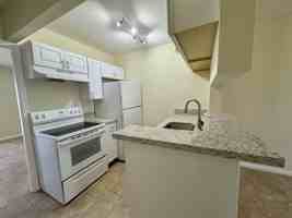 featured image of 1500 N Congress Ave #A313
