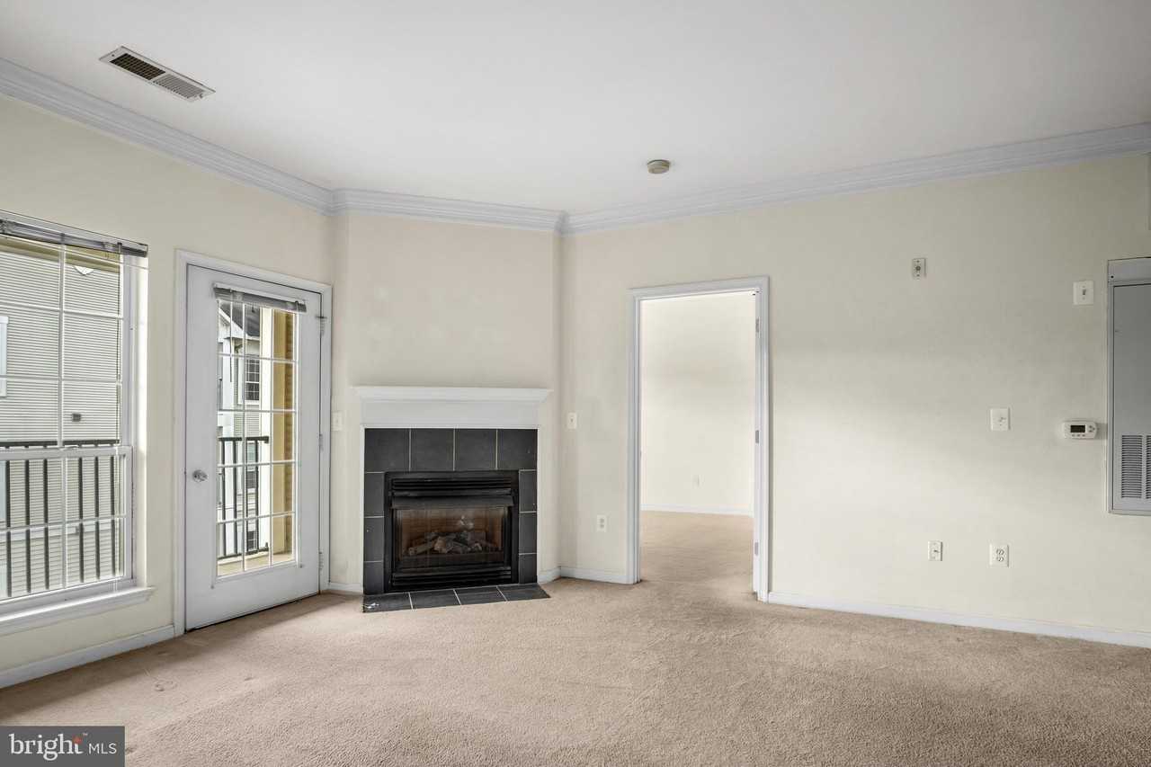 4850 Eisenhower Ave #407 - Photo 4 of 23