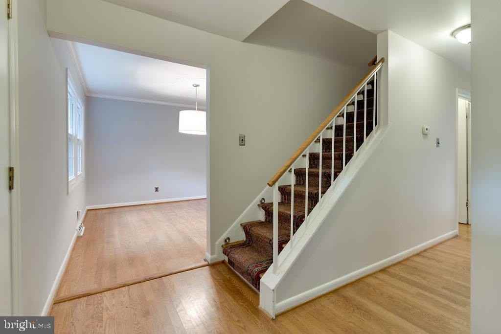 2503 Fowlers Ln - Photo 5 of 50