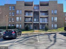 11208 Chestnut Grove Sq #210 - Photo 1 of 1