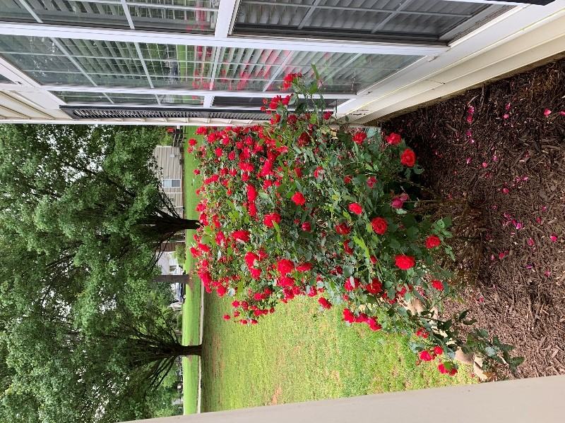127 Kilborne Rd - Photo 4 of 21