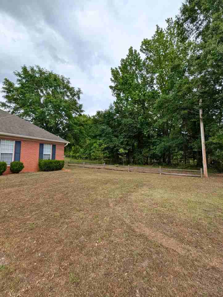 223 S Springfield Dr - Photo 2 of 22