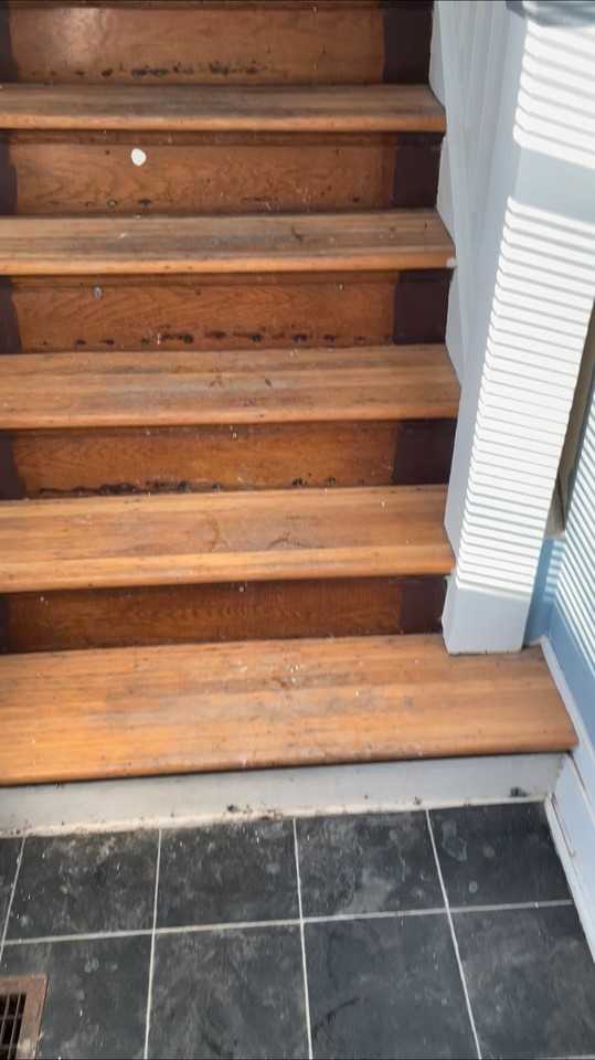 336 Melville St - Photo 7 of 7