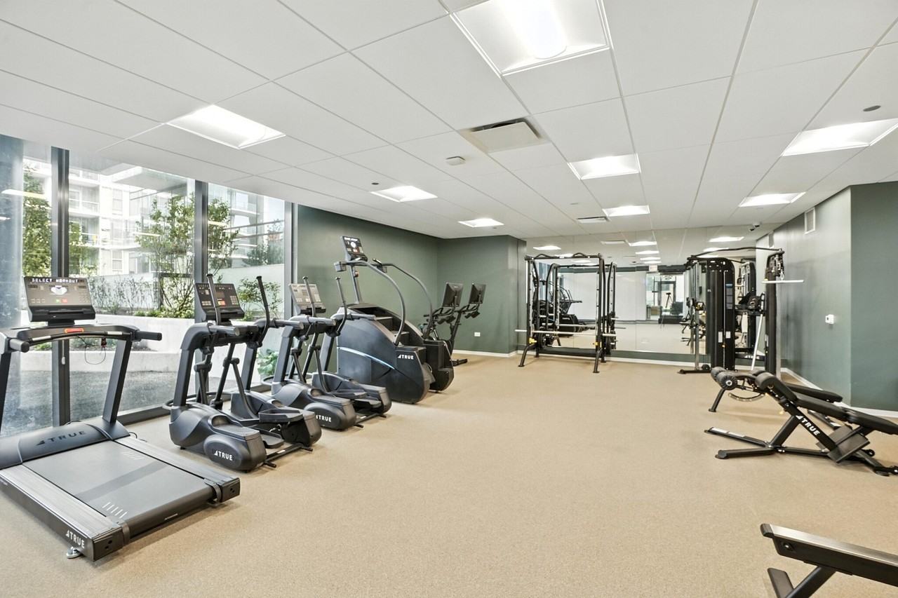 1715 S Michigan Ave #1204 - Photo 6 of 20