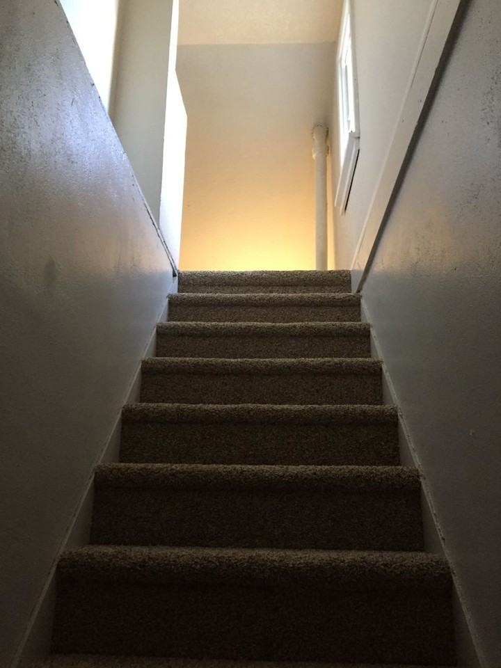 1121 N 12th - Photo 6 of 19