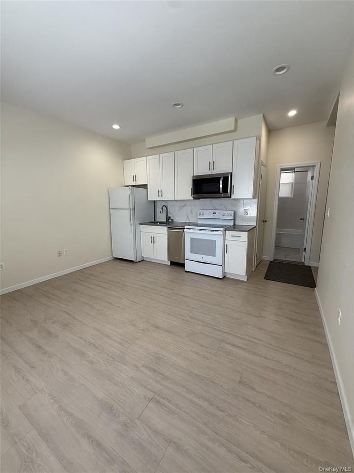 127 Mineola Blvd #1 - Photo 3 of 7
