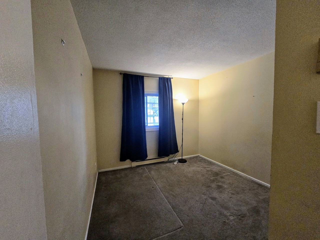 1589 Saint Bernard Street #204 - Photo 7 of 15