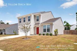 featured image of 119 Yellow Birch Way