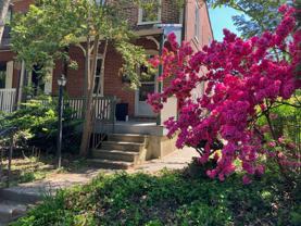 430 E Franklin St #1 - Photo 1 of 1
