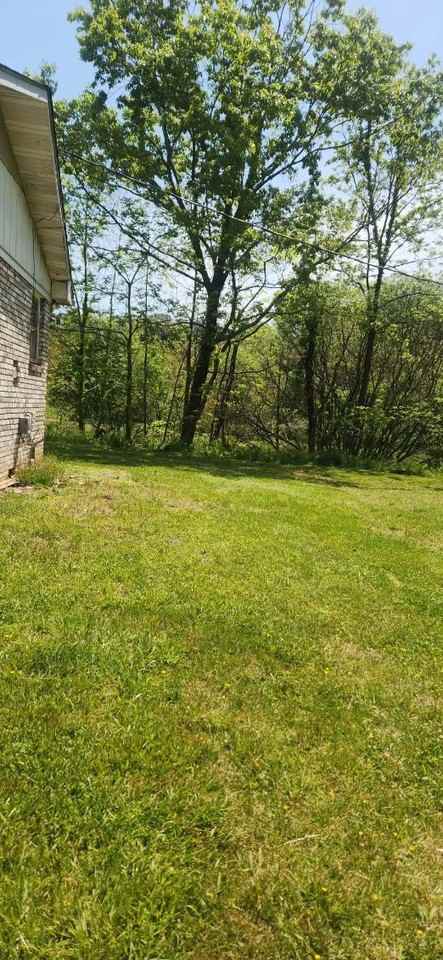 481 Charlie Brown Rd #NA - Photo 6 of 10