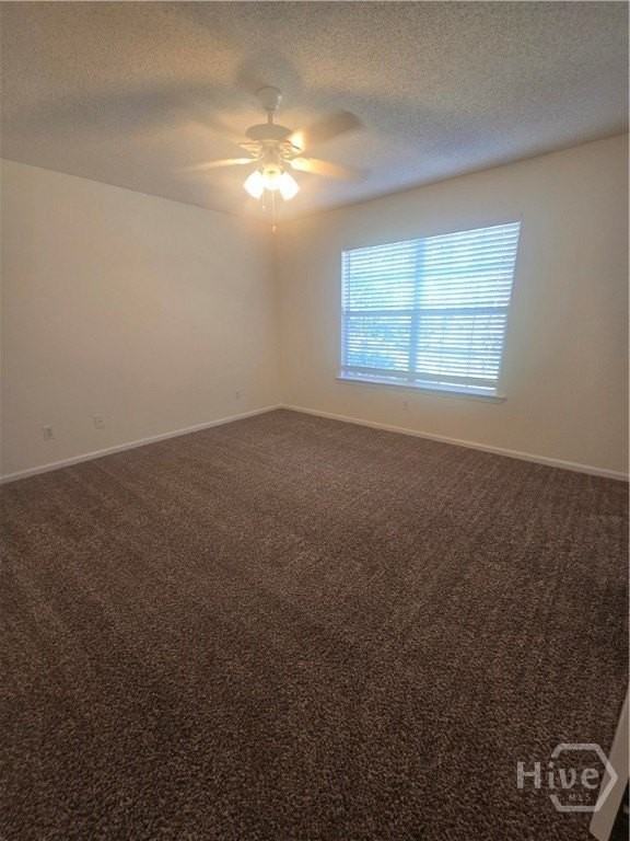 9852 Whitefield Ave #B - Photo 5 of 7