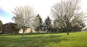 Peachgate Apartments - Photo 1 of 1