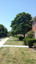 364 Westwood Ave #47 - Photo 1 of 1
