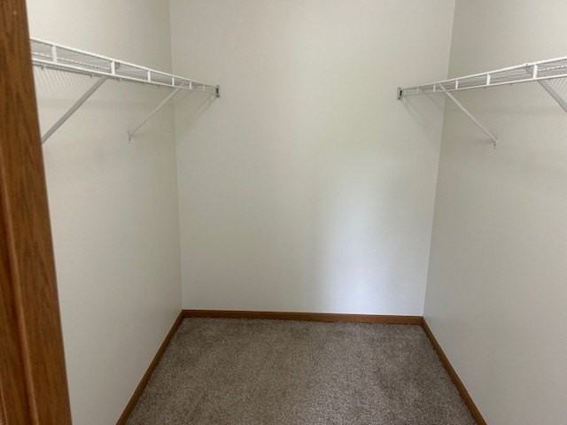 727 Elm Ln #206 - Photo 6 of 16