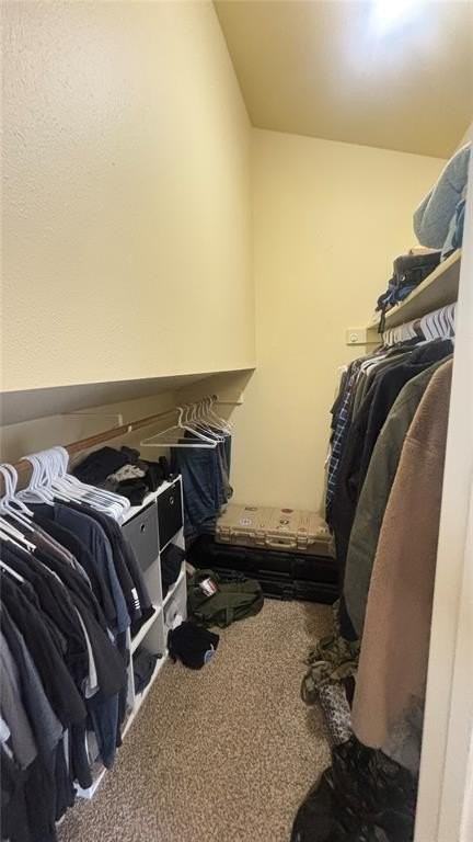 620 Forest Edge Rd #C - Photo 2 of 6