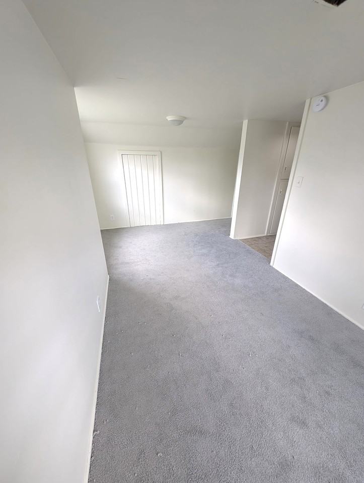 5413 Dupont St #1 - Photo 3 of 17