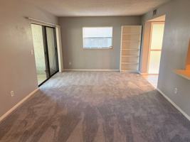 featured image of 7 Castania Ct