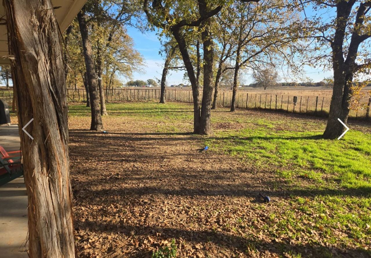 355 Dude Ln - Photo 5 of 10