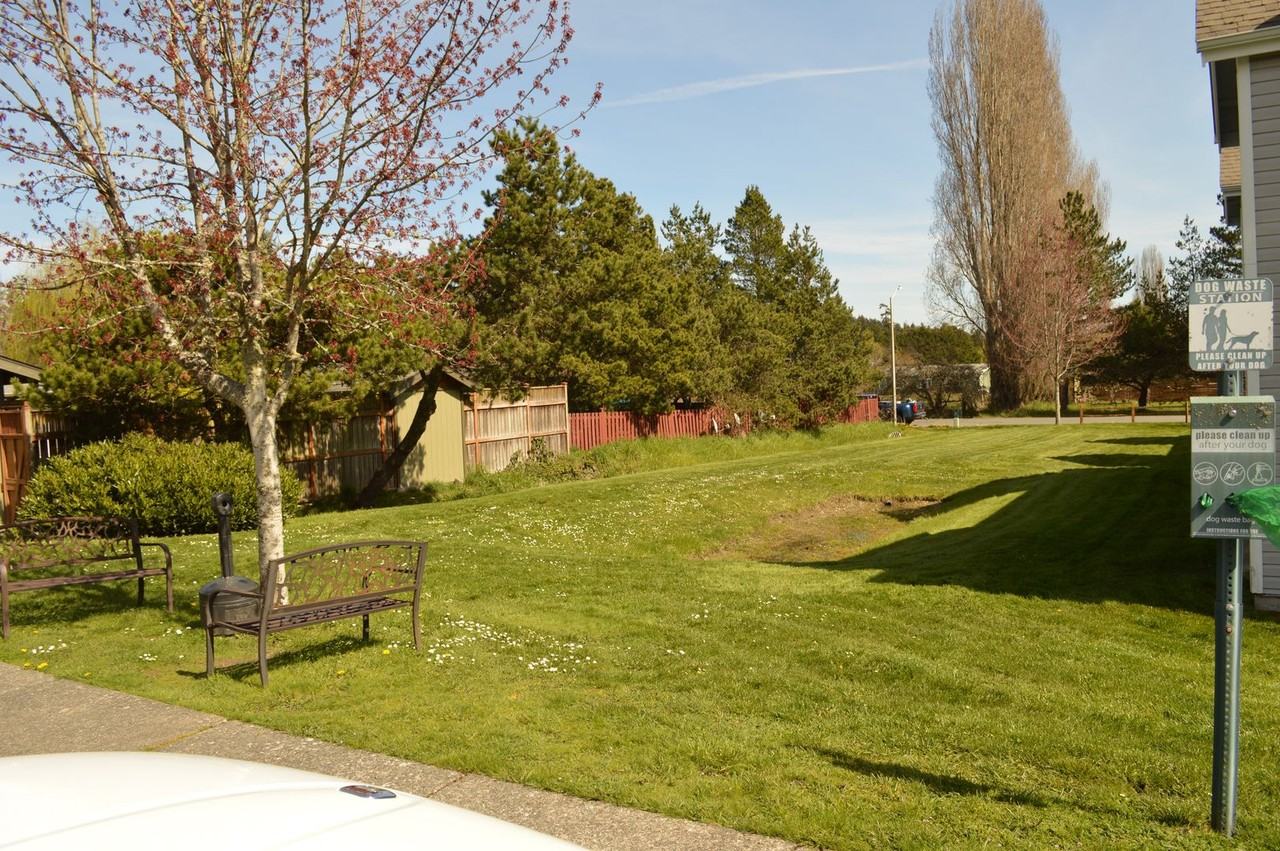 445 Carter Ave - Photo 5 of 20