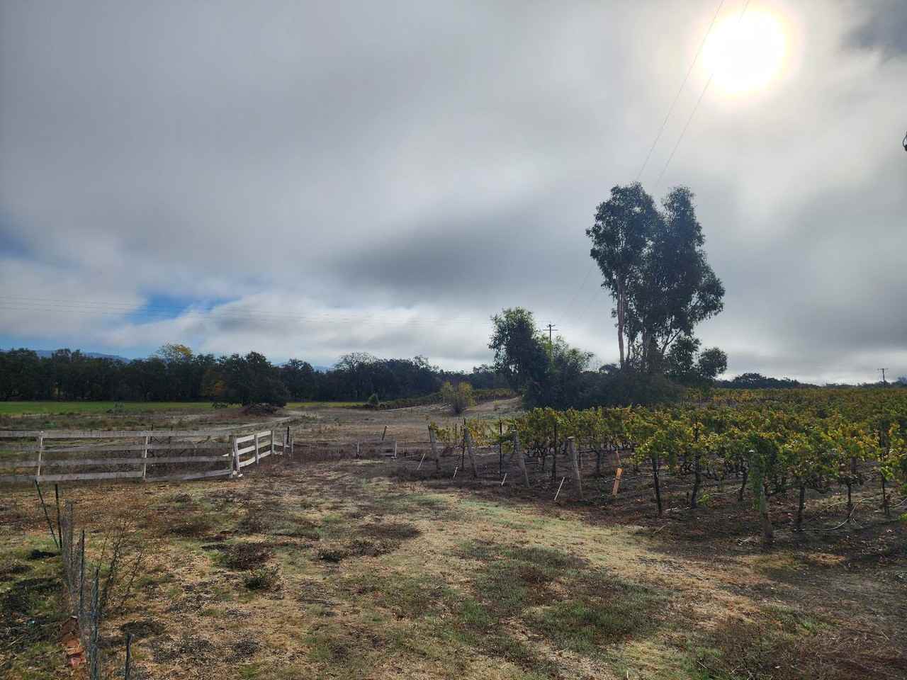 7710 Starr Rd - Photo 4 of 16
