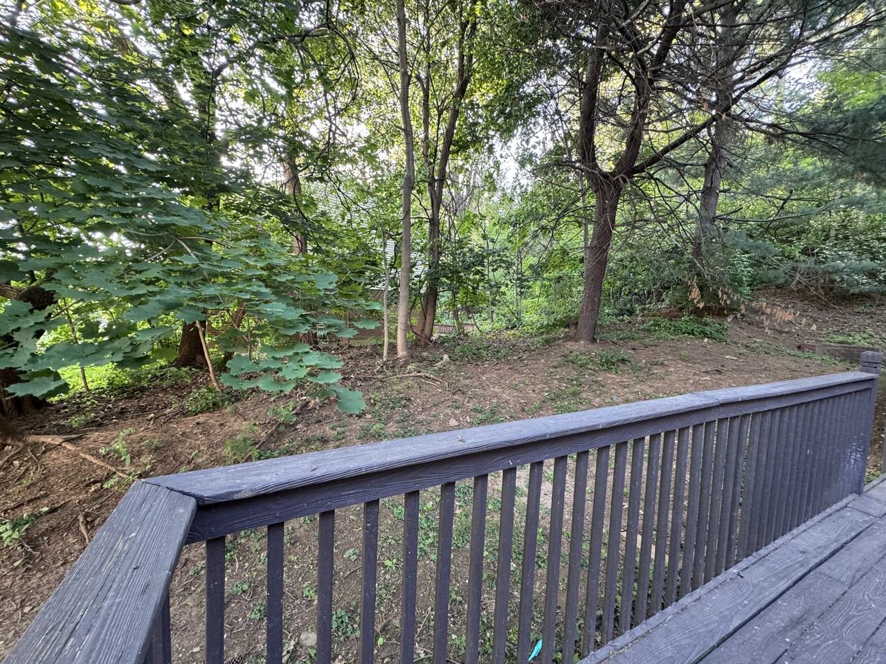 606 Coates Ln #1 - Photo 6 of 20