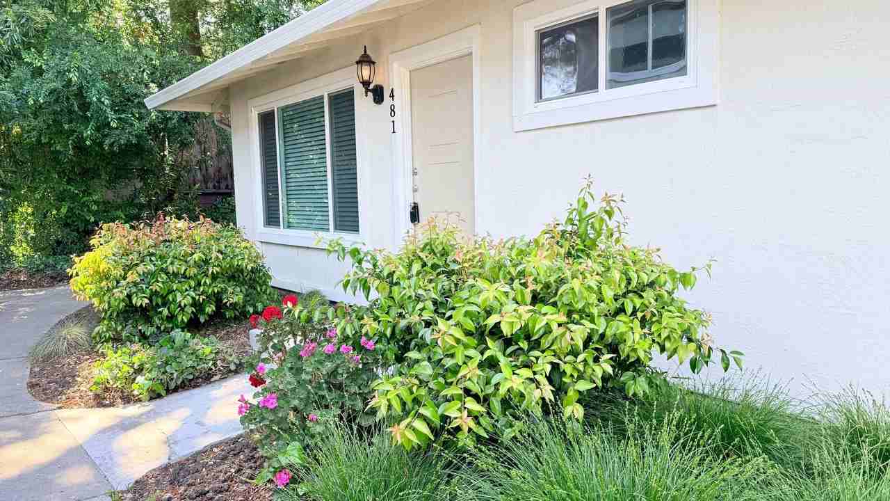481 Carillo Ct - Photo 3 of 31