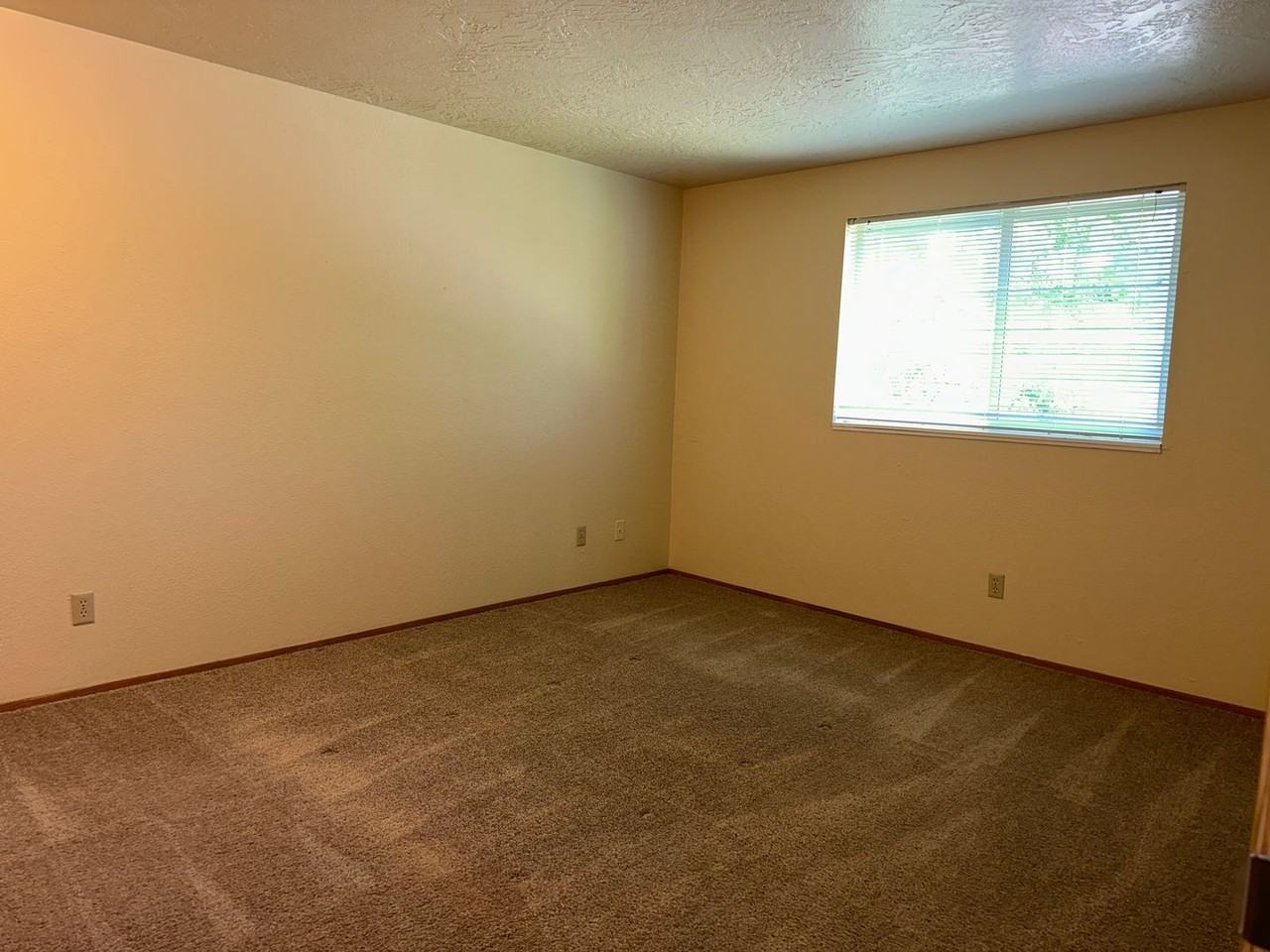 Woodbrook Apartments - Photo 7 of 31