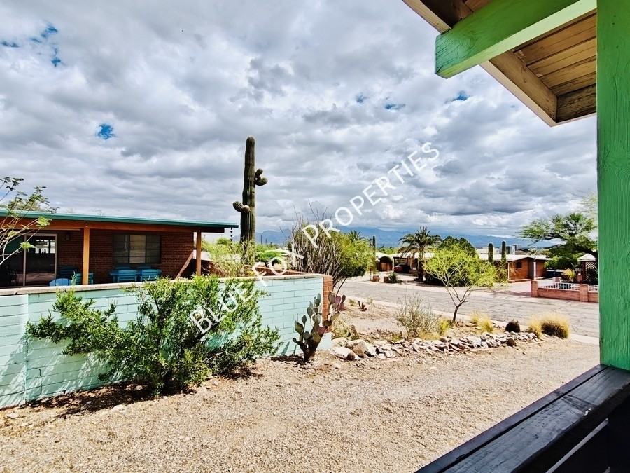 633 N Avenida Calma - Photo 5 of 21