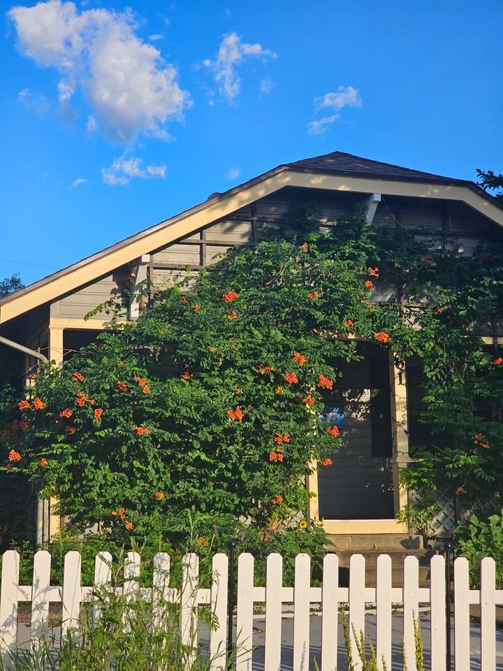 61 Newton St - Photo 2 of 18