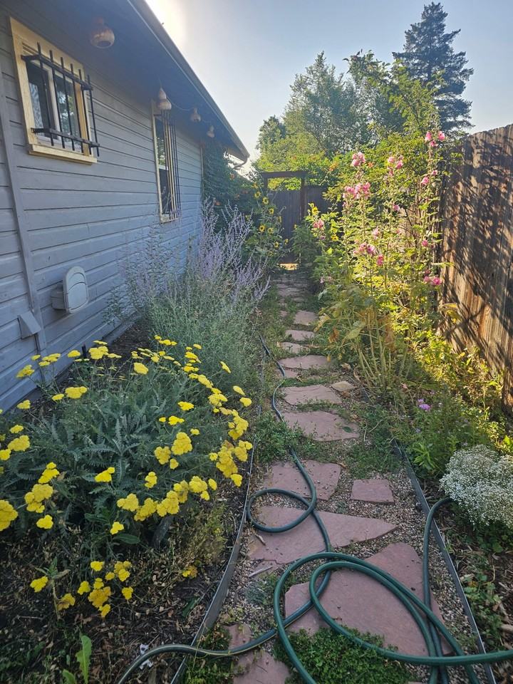 61 Newton St - Photo 4 of 18