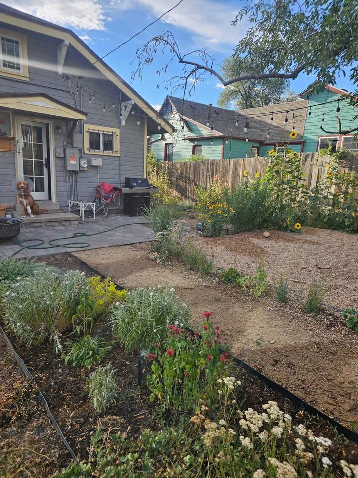 61 Newton St - Photo 5 of 18