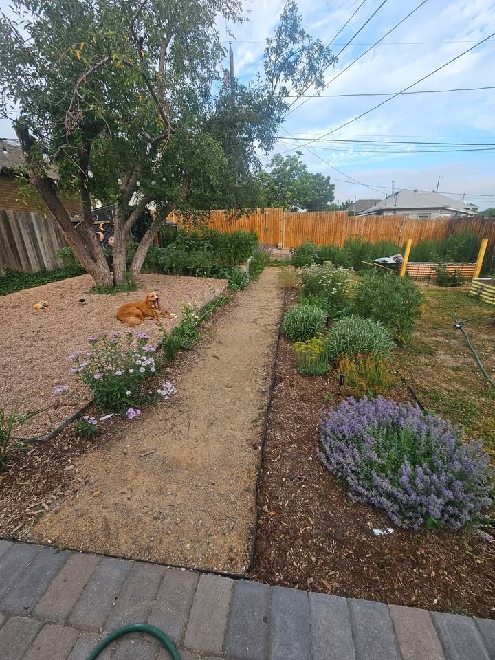 61 Newton St - Photo 6 of 18