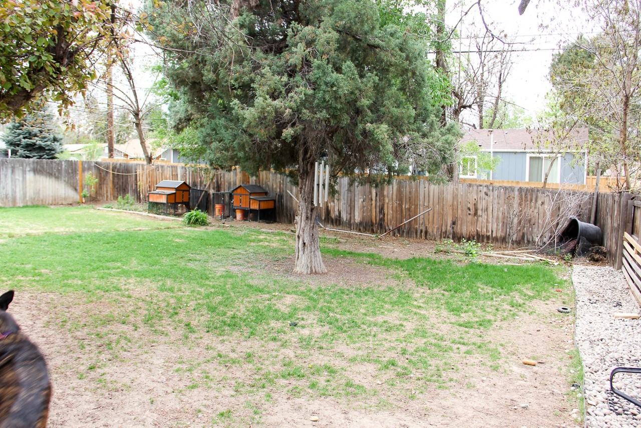 1495 S Grape St - Photo 6 of 36