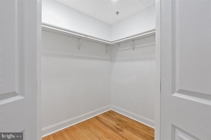 2029 Walnut St #3F - Photo 3 of 20