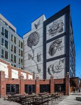 Pike Flats | 722 E Pike St - Photo 1 of 1