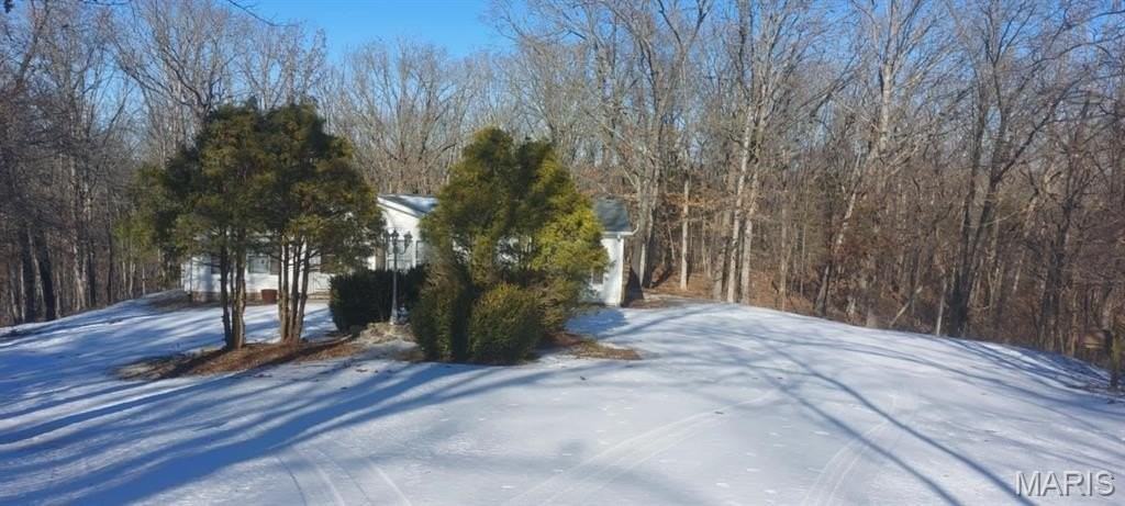1401 Wilderness Acres Ln - Photo 2 of 21