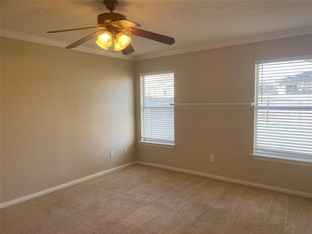 4241 Iris Ave - Photo 4 of 9