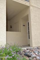 1200 E River Rd #D47 - Photo 1 of 1