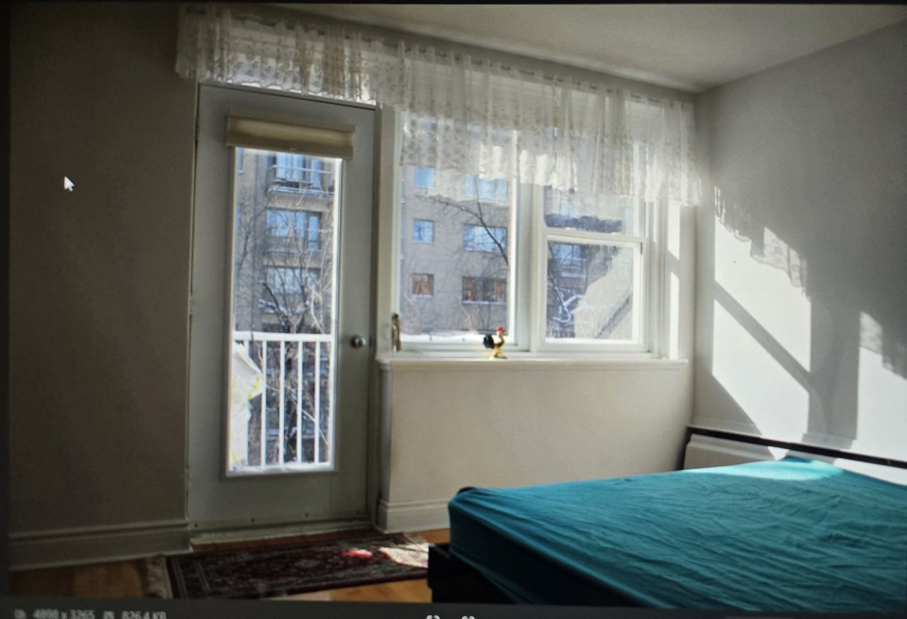 3615 Avenue Ridgewood #501 - Photo 7 of 12