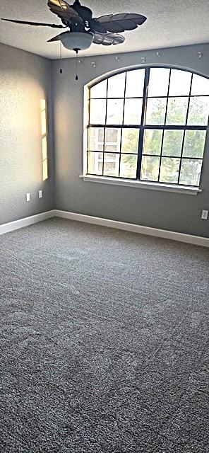 440 TIMBERWALK Court 935 - 1 #1 - Photo 3 of 11