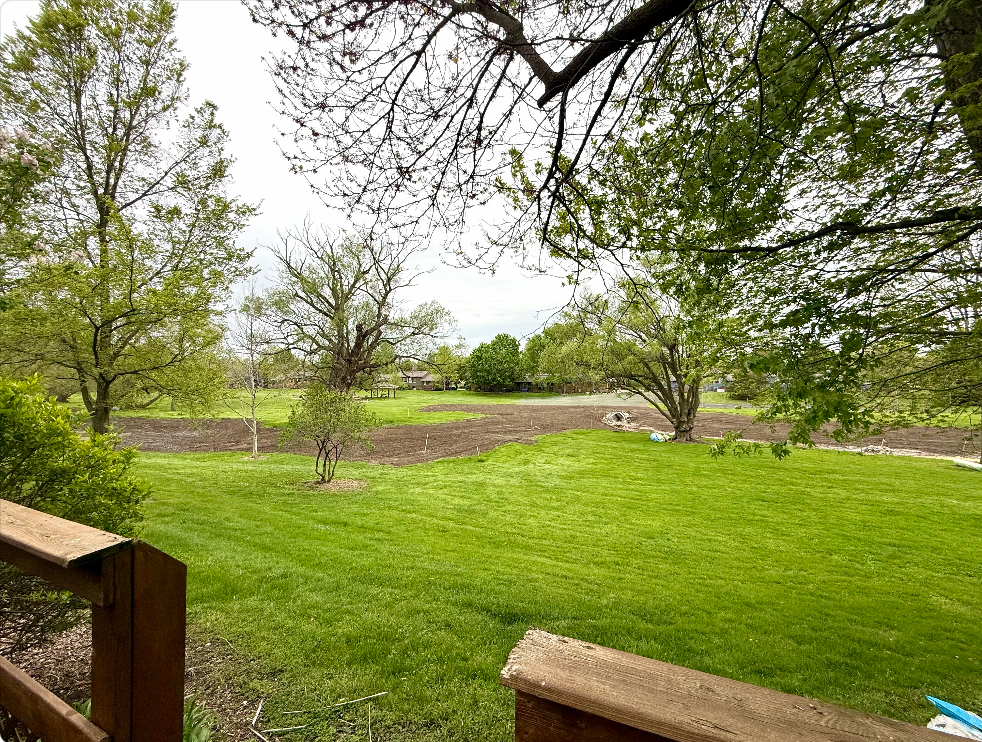 2824 Whitewood St - Photo 2 of 25