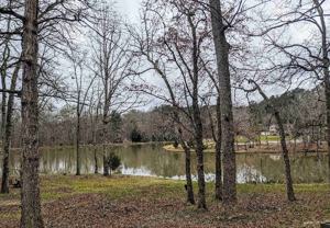 275 E Lake Dr #B - Photo 1 of 1