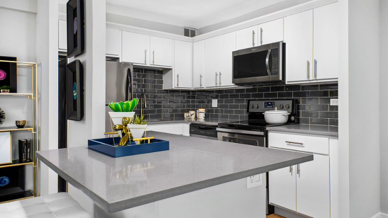1172 S Michigan Ave - Photo 5 of 13