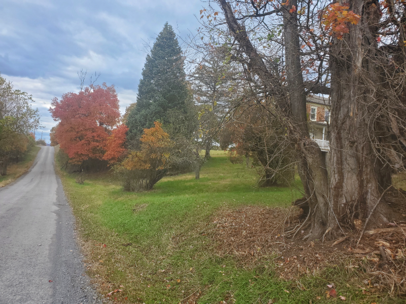 17756 Muncy - Photo 2 of 7