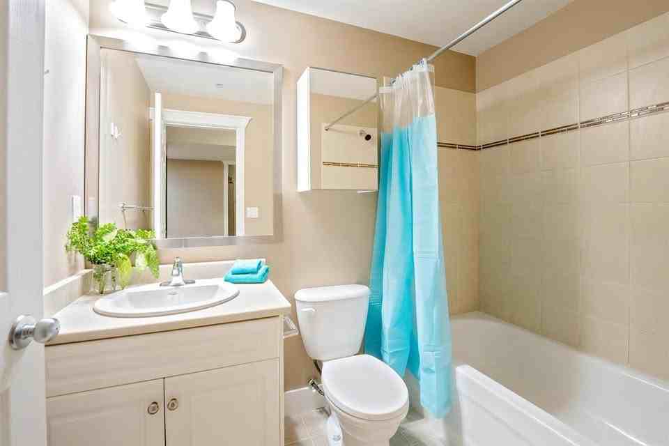 24346 101A Avenue #Bsmt - Photo 6 of 8