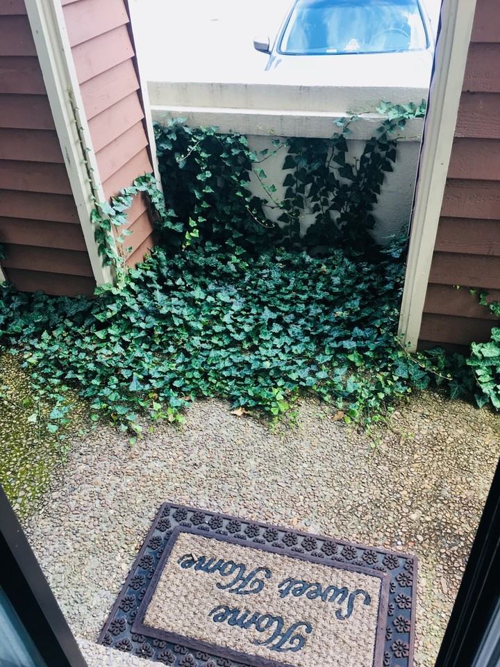 213 Hillsboro Pl - Photo 6 of 19